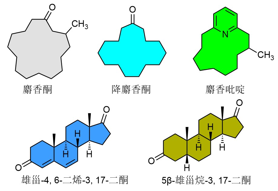 香精與香料(17)-香型與分子結(jié)構(gòu)特征的關(guān)系