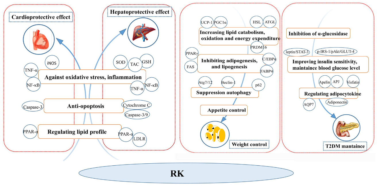 香精與香料(71)—覆盆子酮(Raspberry ketone)