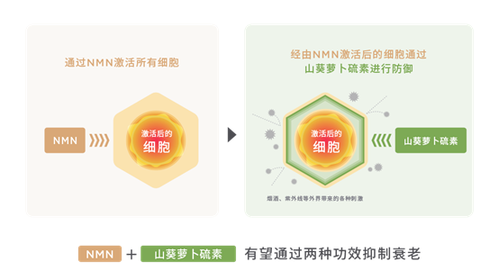 香精與香料(148)—山葵