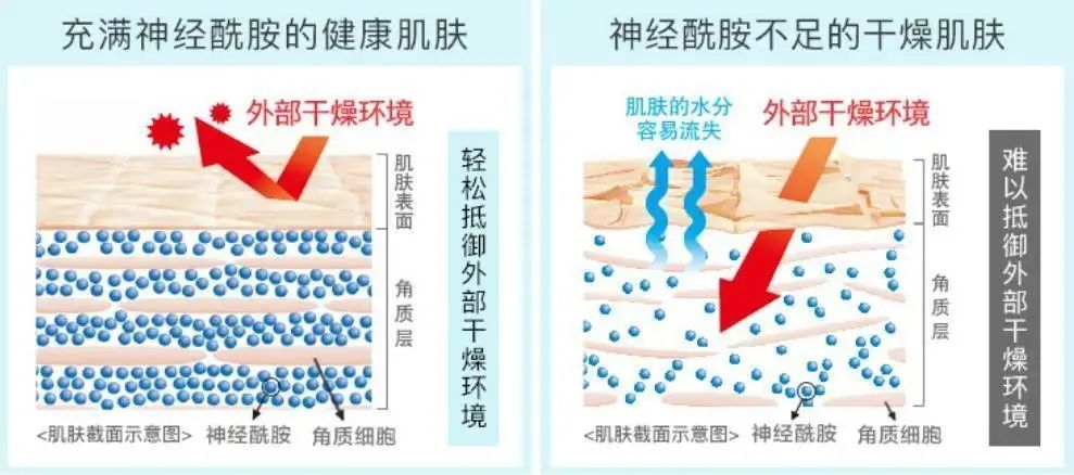 2022年護膚熱門功效成分有哪些？