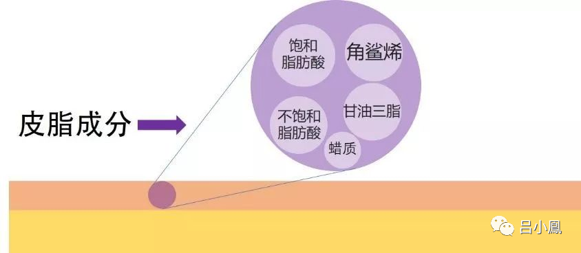 2022年護膚熱門功效成分有哪些？