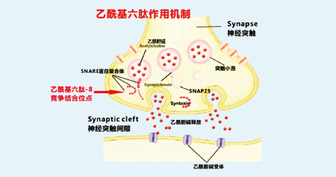 2022年護膚熱門功效成分有哪些？