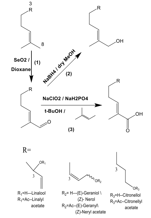 C-6不飽和無環單萜醇的結構-氣味關系研究：一種比較的方法