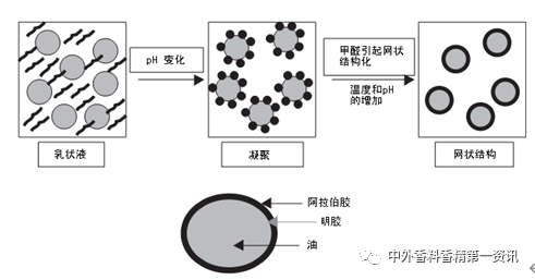 香精包埋與緩釋技術(shù)的研究進(jìn)展