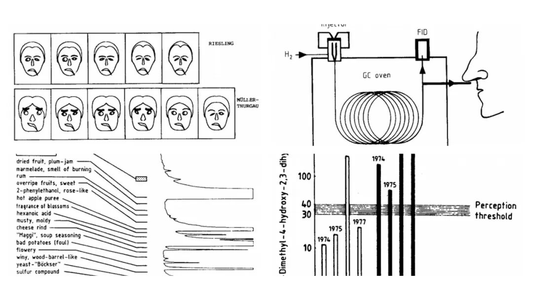 調香筆記(9)——多感官味覺感知:感官內部和感官之間的調和、混合、融合和配對