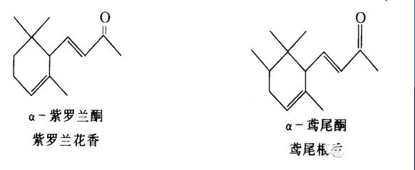 香料的分子結(jié)構(gòu)與香氣的關(guān)系