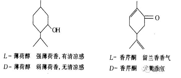 香料的分子結(jié)構(gòu)與香氣的關(guān)系