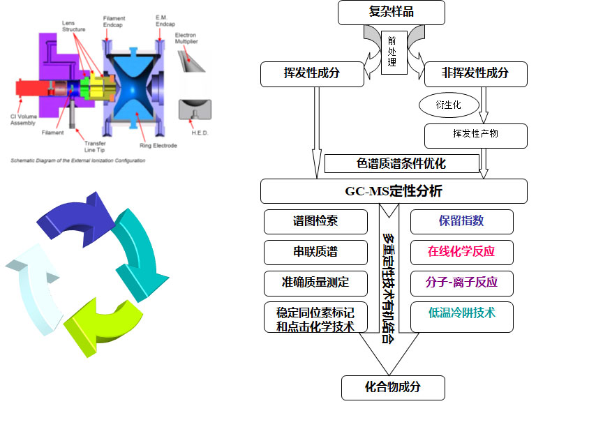 氣相色譜-質(zhì)譜定性分析