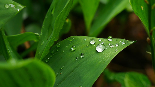 喚醒你的雨天記憶